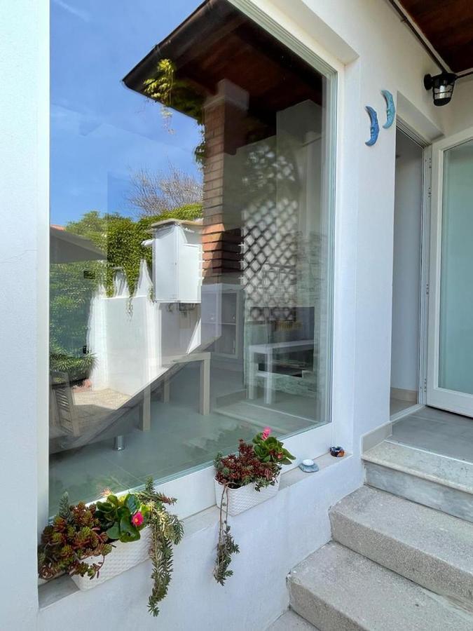 마리나디피사 Azzurra House 아파트 외부 사진