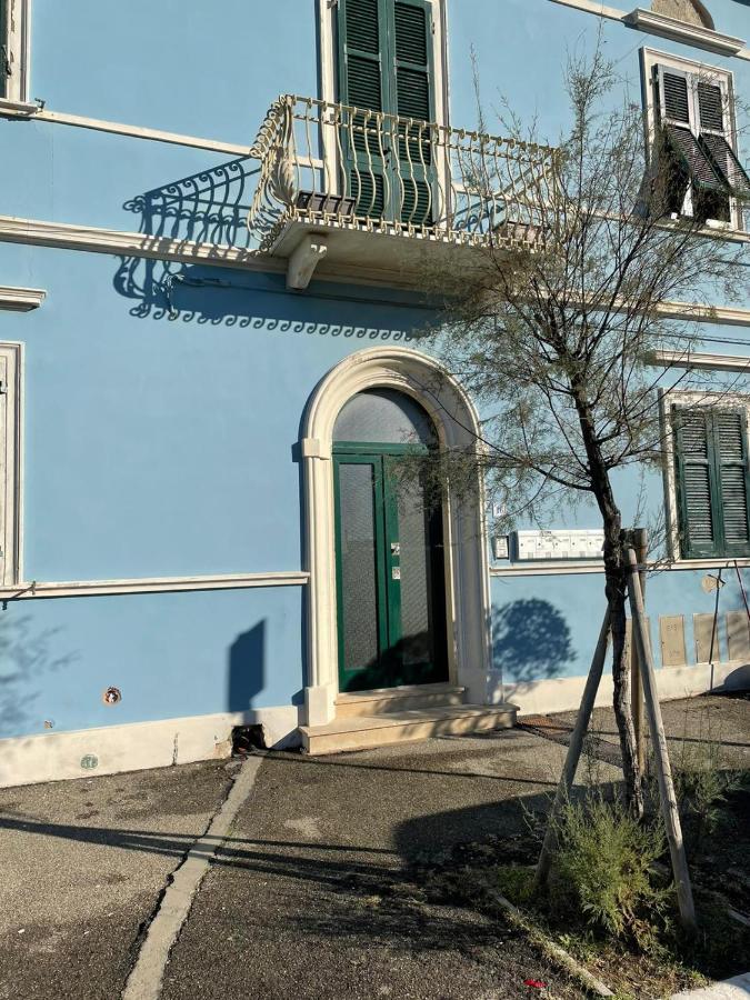 마리나디피사 Azzurra House 아파트 외부 사진